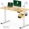 Adjustable Desk Quick Assembly Electric Standing Desk with 48 X 24 Inches Whole-Piece Ergonomic Memory Controller Sit Stand Desk(White Frame + 48" Bamboo Texture Desktop)