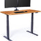 Electric Standing Desk - 60X30 desk, Adjustable Height Stand up Desk - Dual Motor with Memory Presets, Stable T-Style Legs- Home Office Essentials Computer Desk - Butcher Block